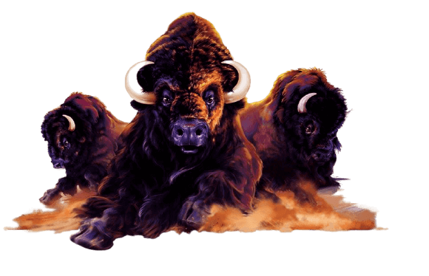 Buffalo Slots AU
